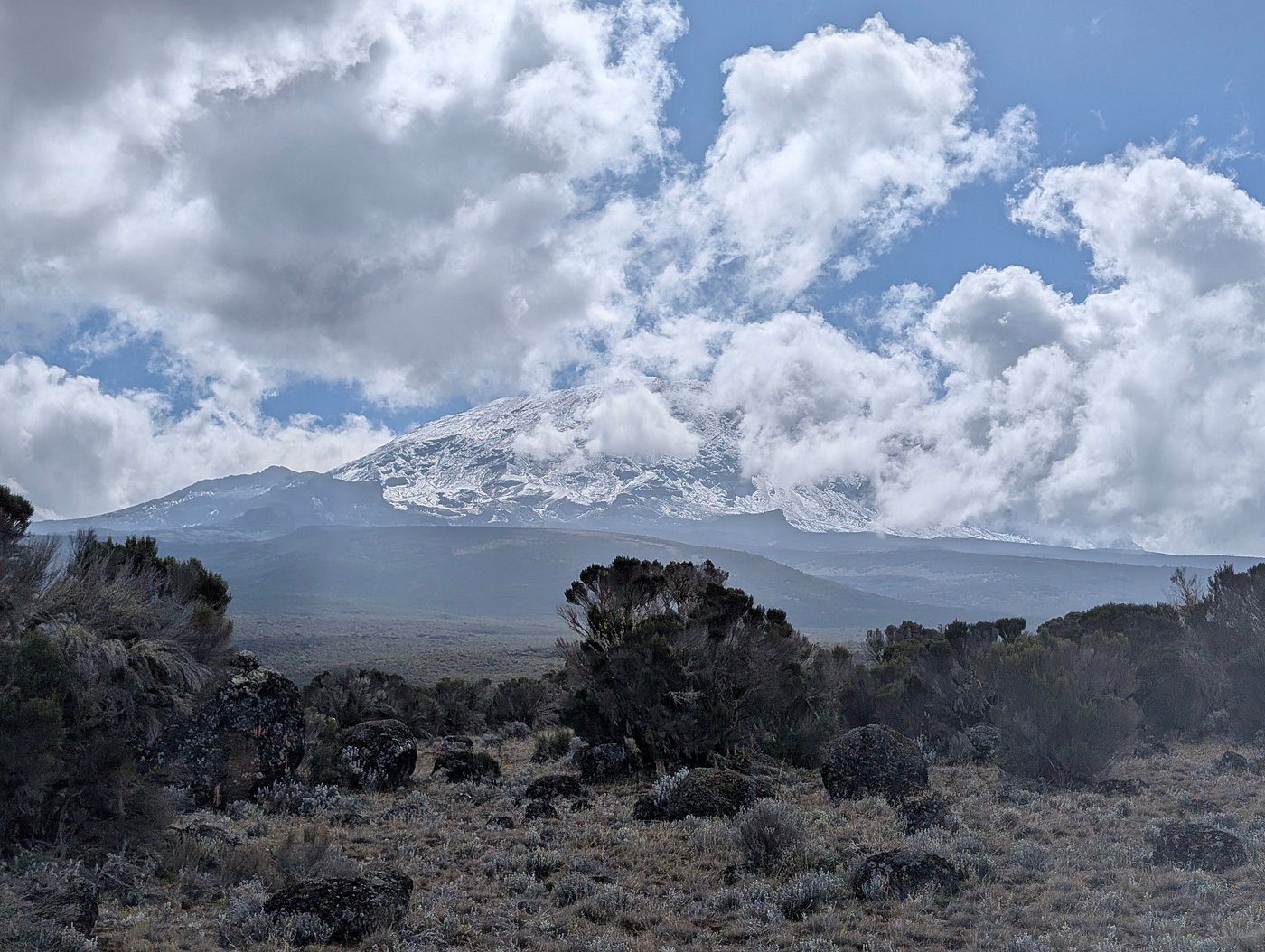 best of kilimanjaro