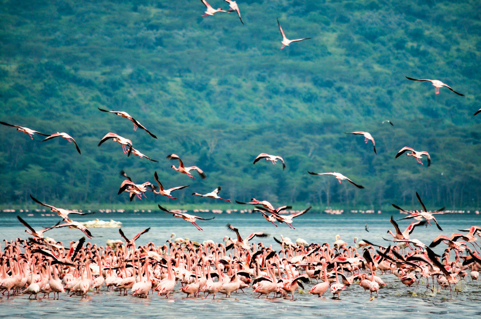 lake manyara national park