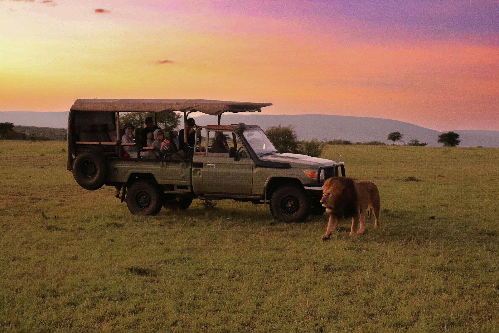 safari tanzania tours