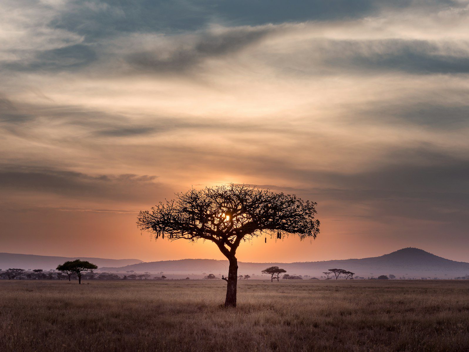 Serengeti Time to Visit